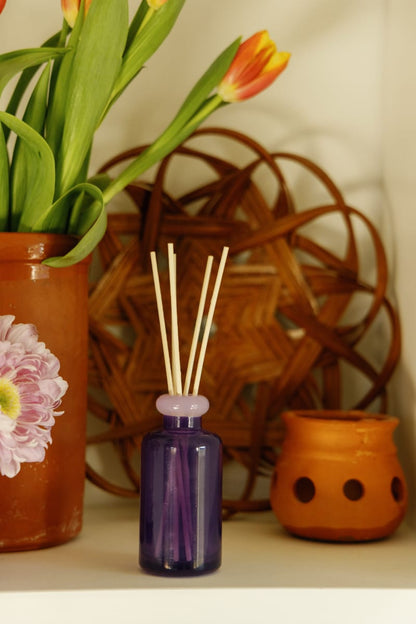A Violet Vanilla - Stack 3.2 oz Diffuser with wooden sticks sits on a shelf next to a matching candle in a reusable glass vessel, surrounded by potted flowers, a terracotta pot, and a decorative woven item in the background.
