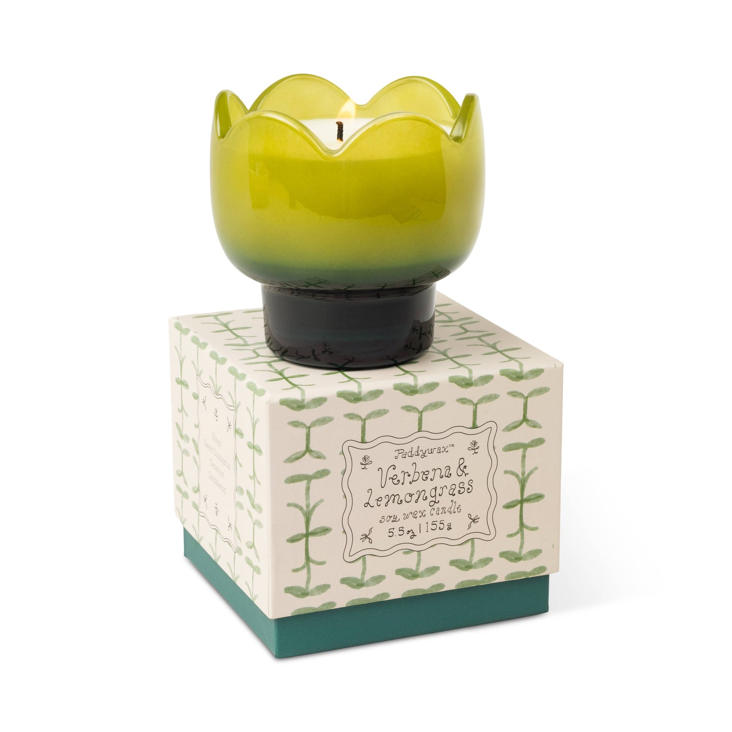 The Verbena & Lemongrass - Tulip 5.5 oz Candle sits in a green, tulip-shaped holder on a decorative box featuring leafy designs and handwritten-style text on a cream and green background.