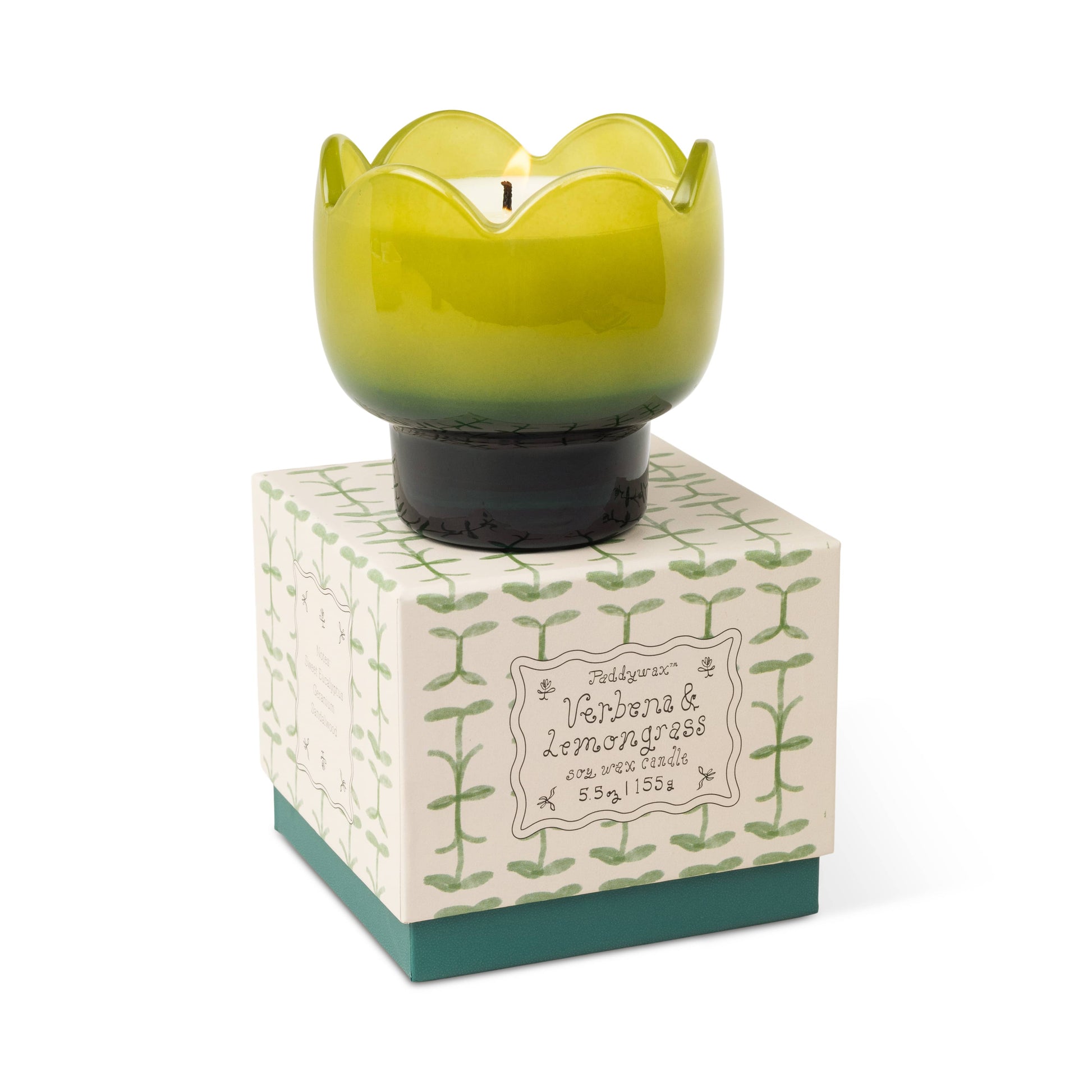 The Verbena & Lemongrass - Tulip 5.5 oz Candle sits in a green, tulip-shaped holder on a decorative box featuring leafy designs and handwritten-style text on a cream and green background.