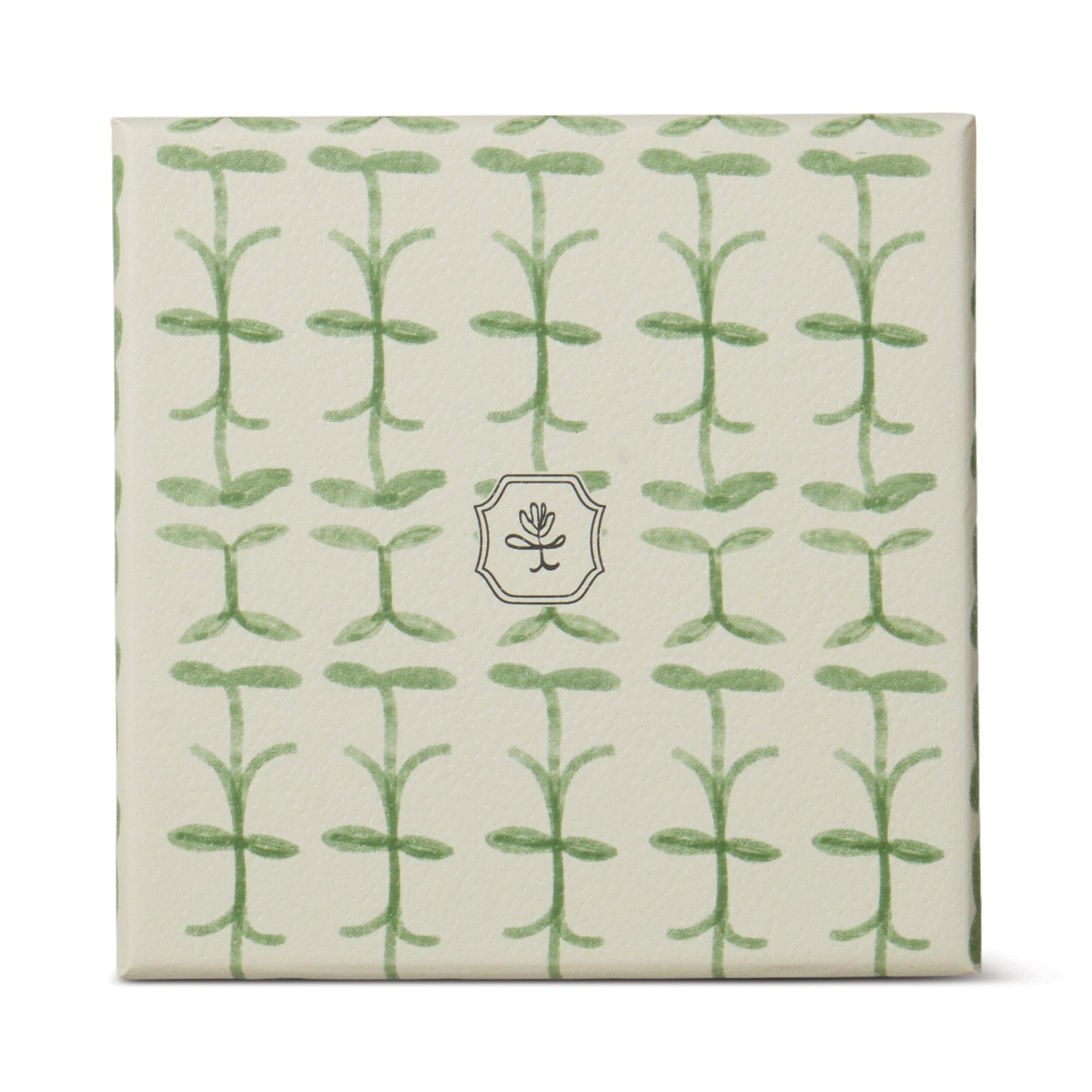 Paddywax Tulip Candle – Verbena & Lemongrass | Citrus Herb Candle