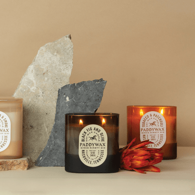 Three Paddywax candles in glass jars, each labeled with different scents, are arranged in front of two stone slabs and a red flower on a beige background.