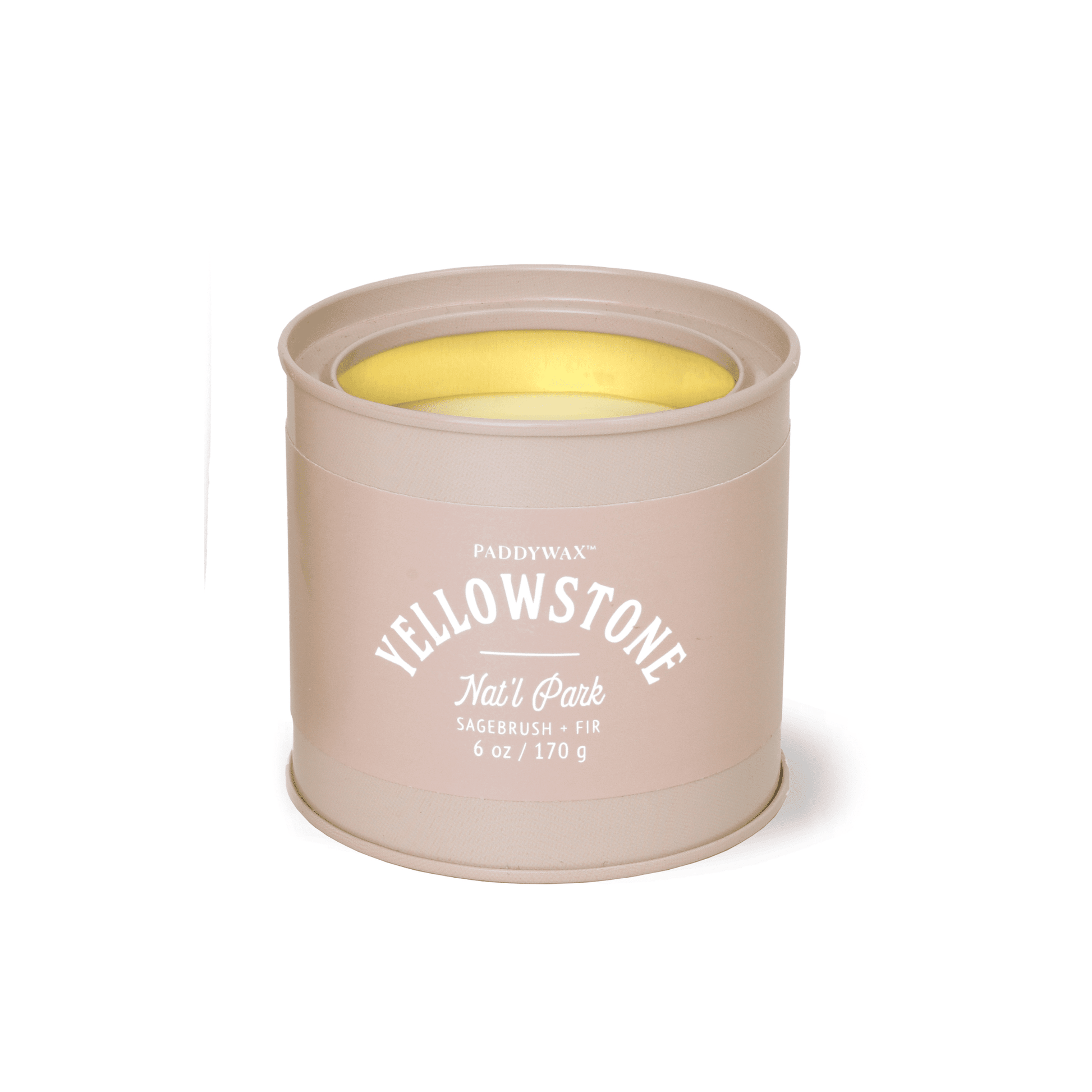 Parks 6oz Candle - Sagebrush +Fir candle on a white background.