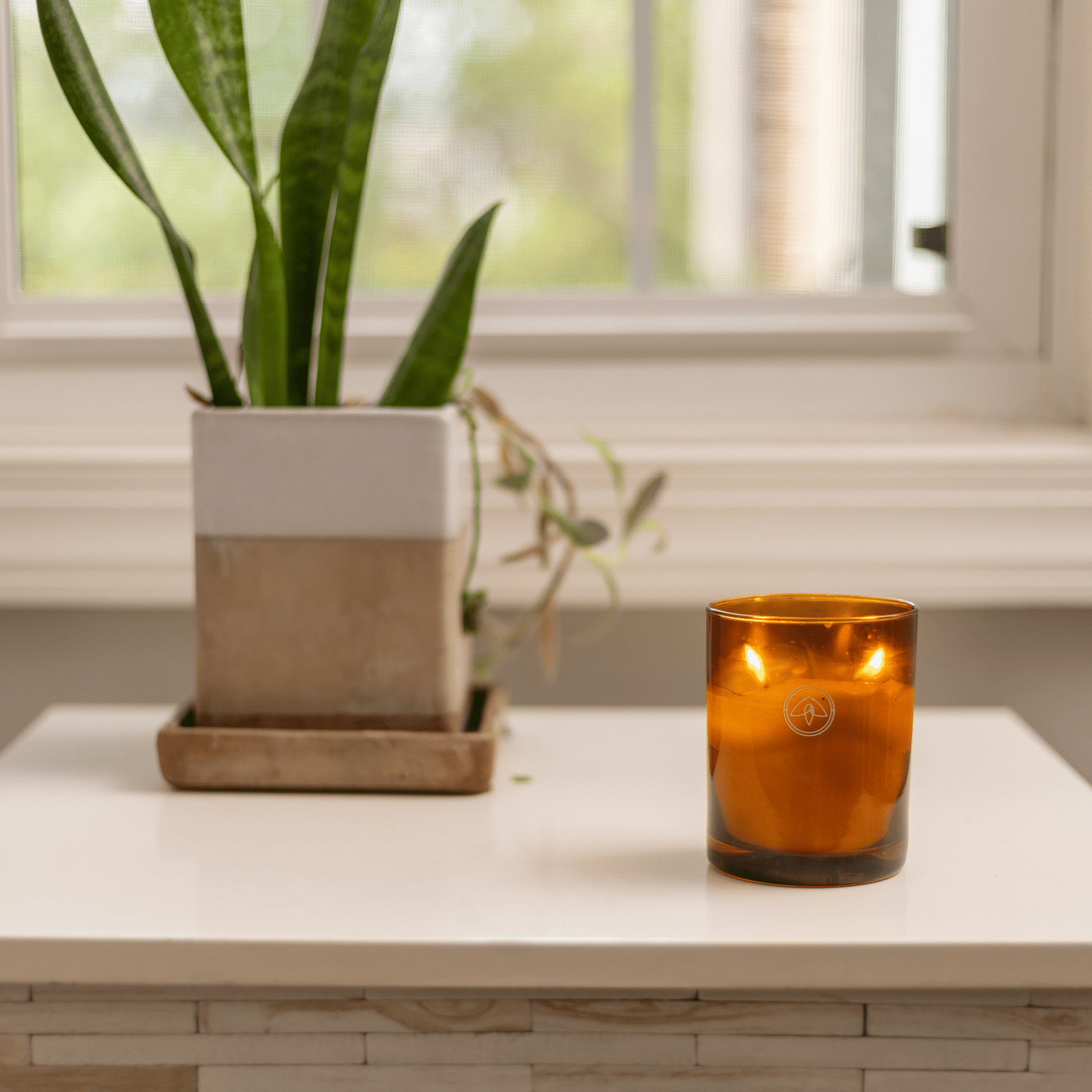 10oz Glow two wick candle on white table top with a planter all in front of a window