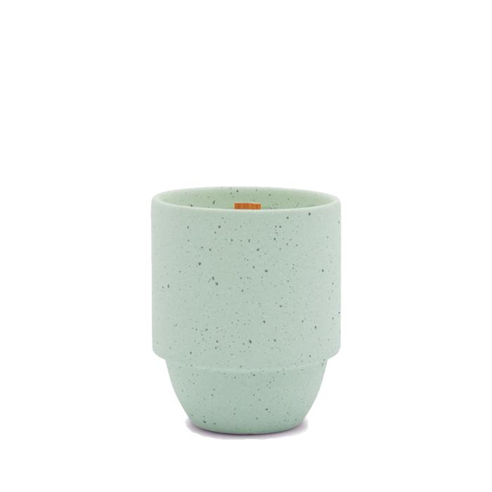 Parks 11 oz Candle - Olympic - mint colored vessel