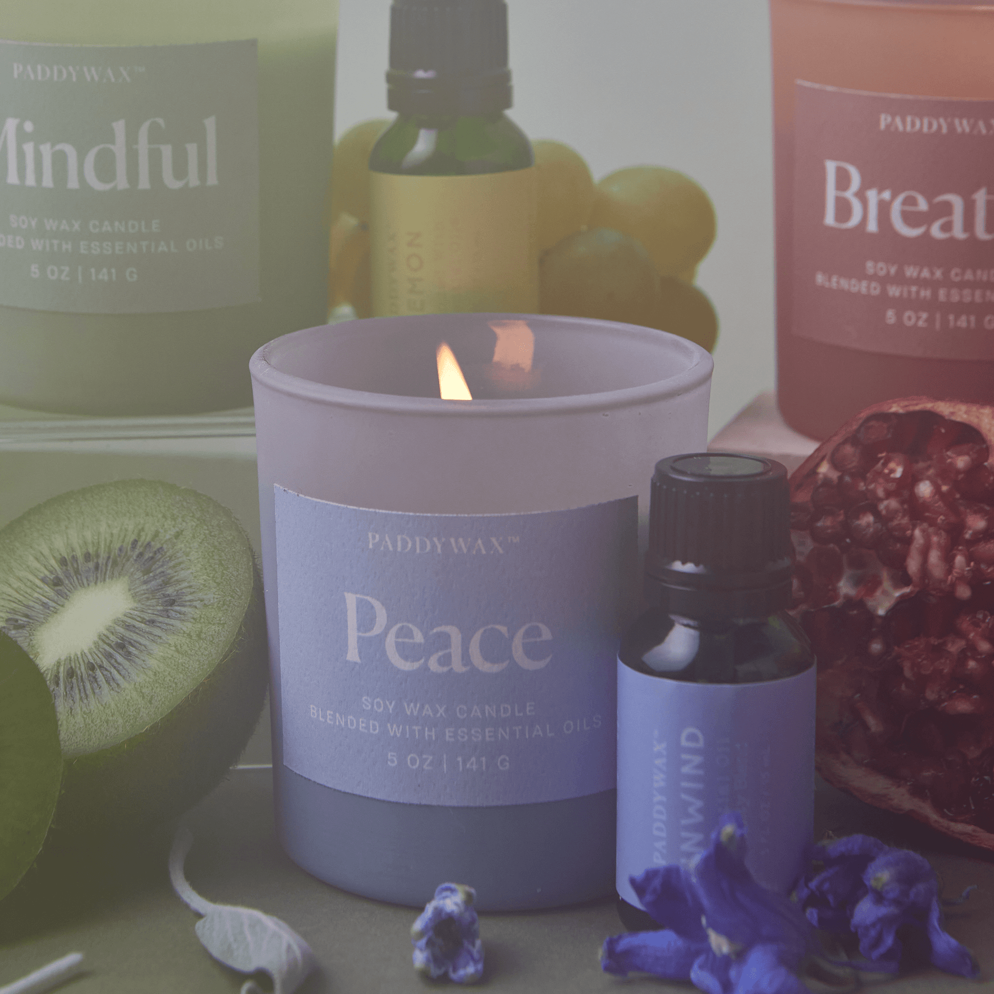 Paddywax Wellness Candle | Mindful 5 oz