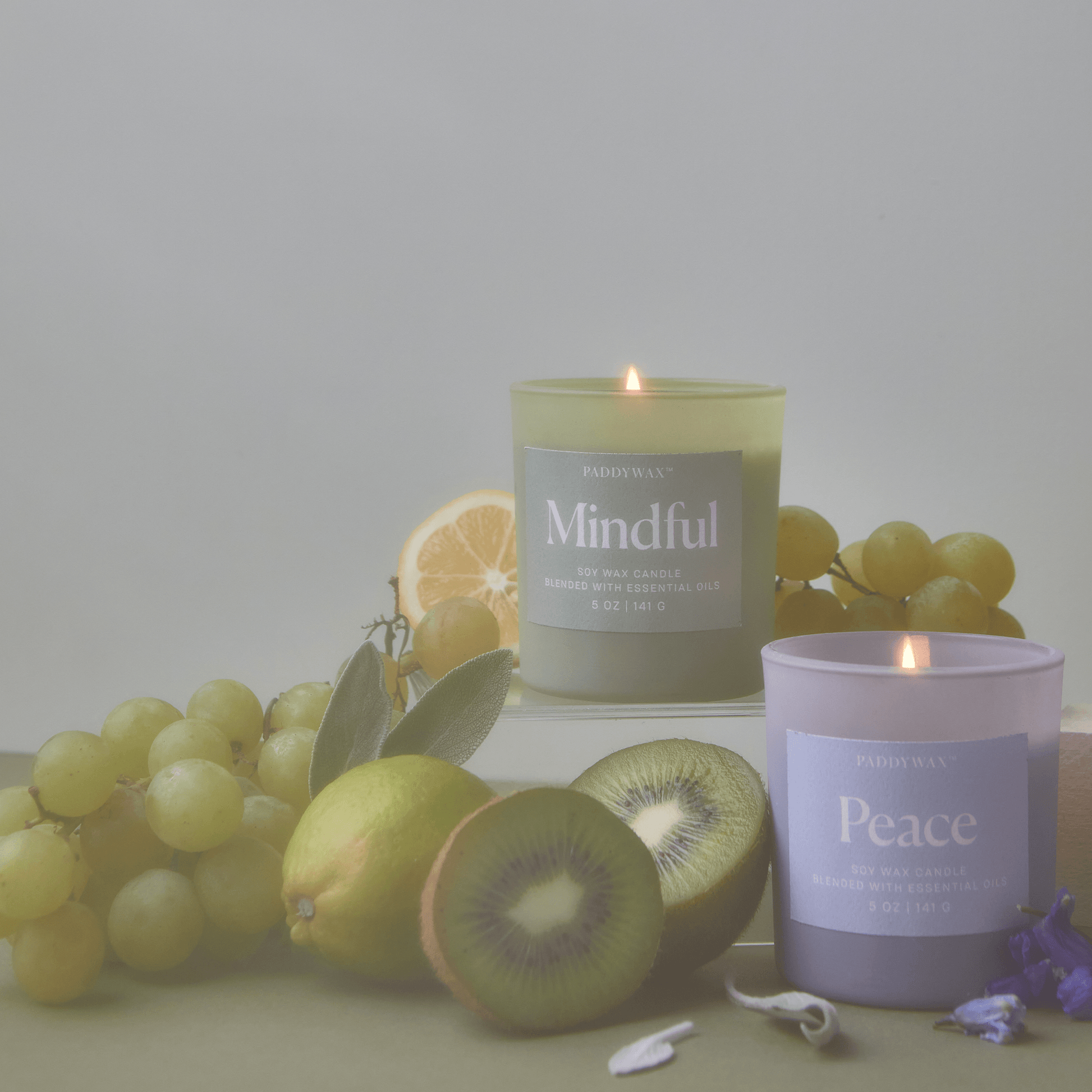 Paddywax Wellness Candle | Mindful 5 oz